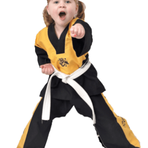 taekwondo classes courses training beginners wirral west kirby jason rodd school