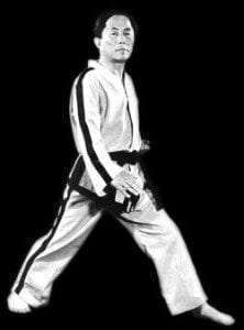 About Taekwondo gen choi 222x300 222x300 - About Taekwondo